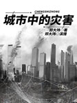 城市中的灾害-郑大玮-郑大玮