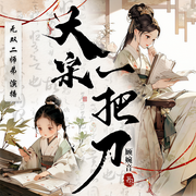 大宋一把刀|爆笑双穿越|冷静外科医生VS话痨富二代|大宋致富路-顾婉音-无双二师弟