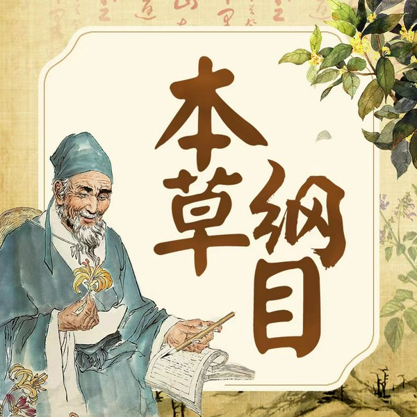《本草纲目》的智慧|中医养生|祛病延年益寿|中国古代百科全书|黄帝内经