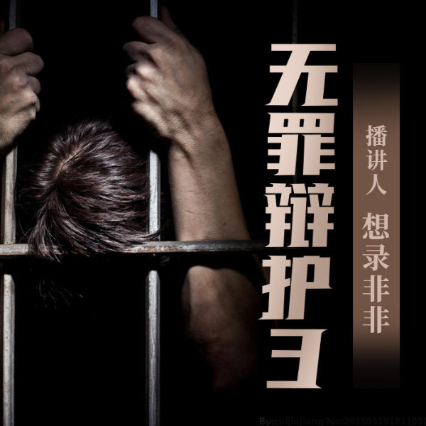 无罪辩护3