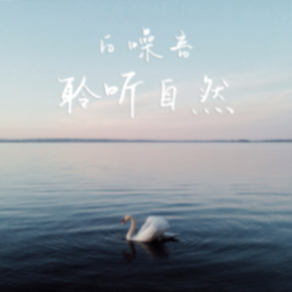 白噪音 | 聆听自然,与地球好眠