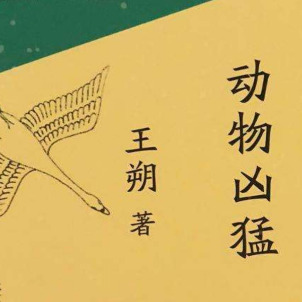 动物凶猛|王朔作品|电影《阳光灿烂的日子》原作