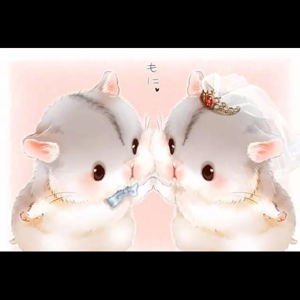 试音专辑