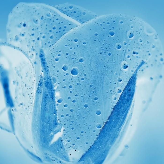 單挑繞口令-佚名-霧雨輕離