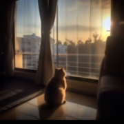 画心--识尚Music-佚名