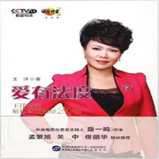 王洋律师解析家庭纠纷20例|爱有法度|法律讲堂|婚姻情感-佚名-中版去听