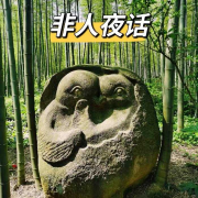 非人夜话--非人呈现-