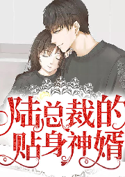 陆总裁的贴身神婿-佚名-家小瑶