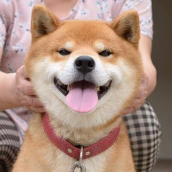 《查缺补漏》