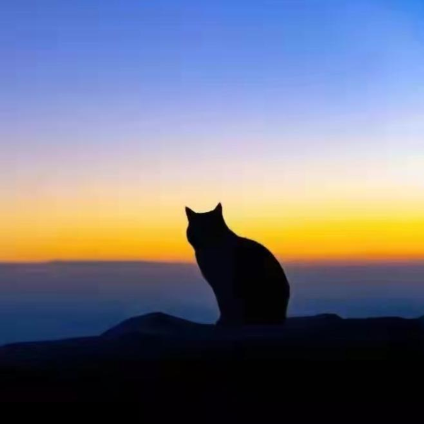 哄睡猫咪呼噜声