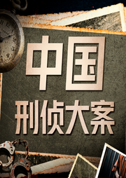 中国刑侦大案纪实：解读大案细节|洞悉罪案背后的人性-佚名-听鉴文化
