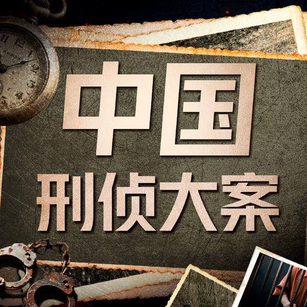 中国刑侦大案纪实：解读大案细节|洞悉罪案背后的人性