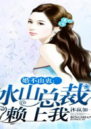 婚不由衷：冰山总裁赖上我|免费言情小说|现代都市|先婚后爱-佚名-暴走麻花