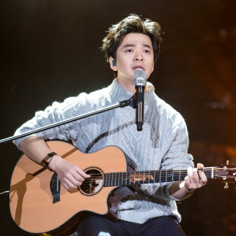 李健+那英金曲精选集--有声的木林-佚名