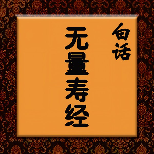 白话无量寿经|佛经诵读|经书|传统文化|哲学思考