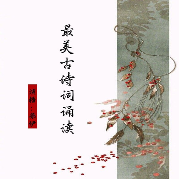 最美诗词诵读【诗意生活,悟人生之意】