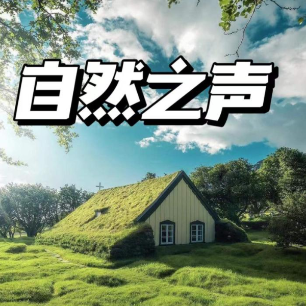 宝宝哄睡音乐|大自然白噪音