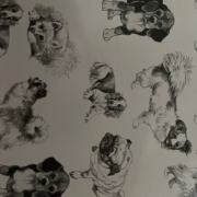 Puppy-佚名-主播半兽人