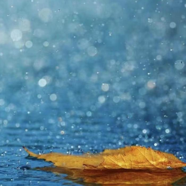 听雨-雨声助眠