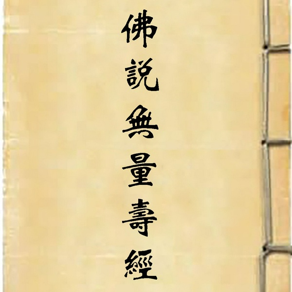 佛说无量寿经|曹魏 康僧铠 译本