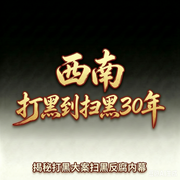 西南打黑到扫黑30年-准备选村长-准备选村长