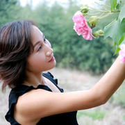 -佚名-阳光_芳菲