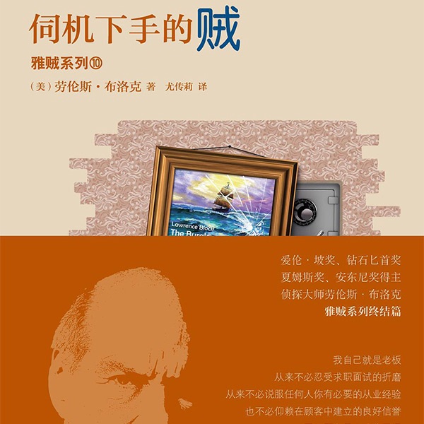 雅贼系列：伺机下手的贼