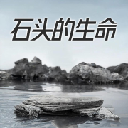 石头的生命-王学江-游兮创意文化