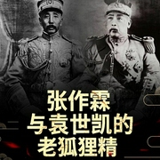 张作霖与袁世凯的老狐狸精-洪宇-鲸鱼有声书场