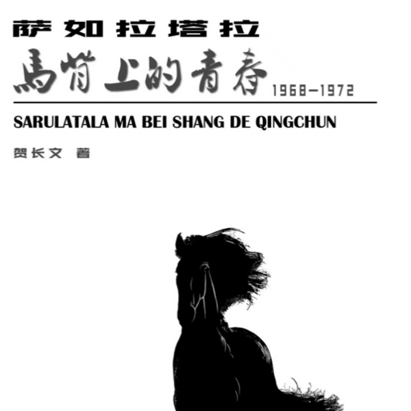 马背上的青春|年代|青春|成长|草原