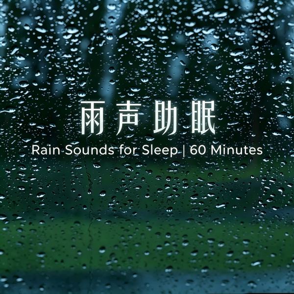 雨声助眠：纯净下雨白噪音|5分钟快速入睡
