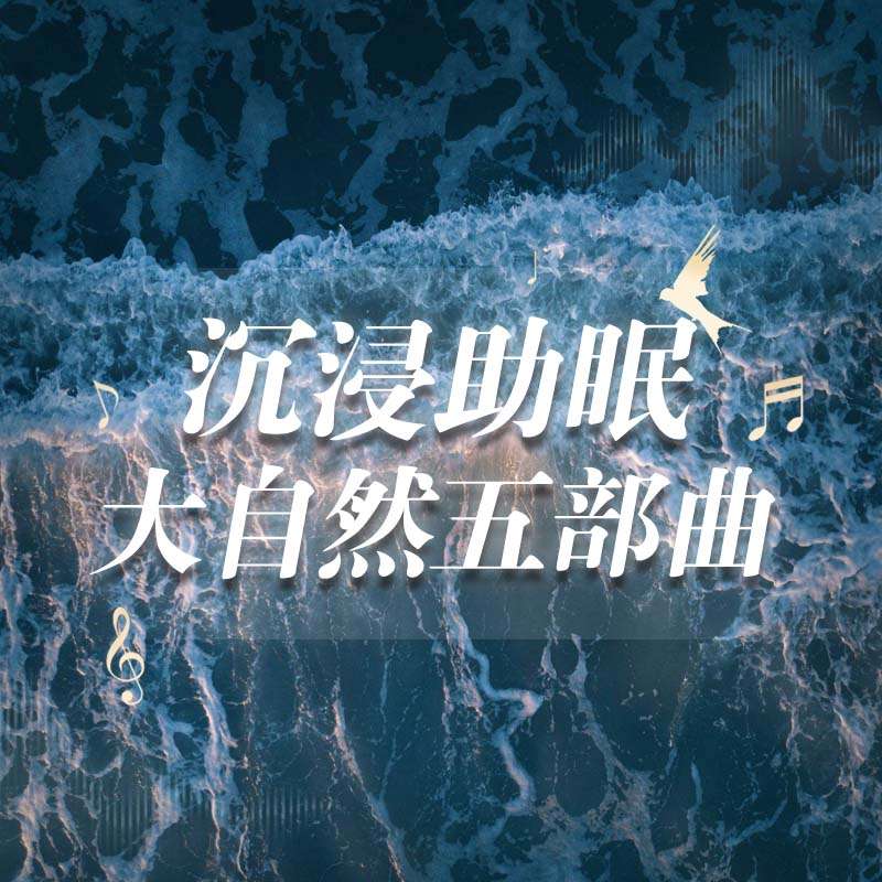 【沉浸助眠】大自然五部曲-海浪沙滩