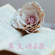 英文诗|歌-佚名-Ting心情