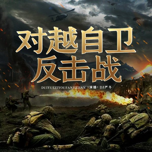 中越自卫战|讲述中越恩怨的前因后果|军事战争