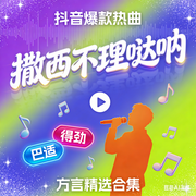 抖音爆款热曲|撒西不理哒呐|方言精选合集-佚名-芊浔