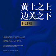 黄土之上，边关之下|多播|少年踏烽烟，热血守山河-十七-翎远华章