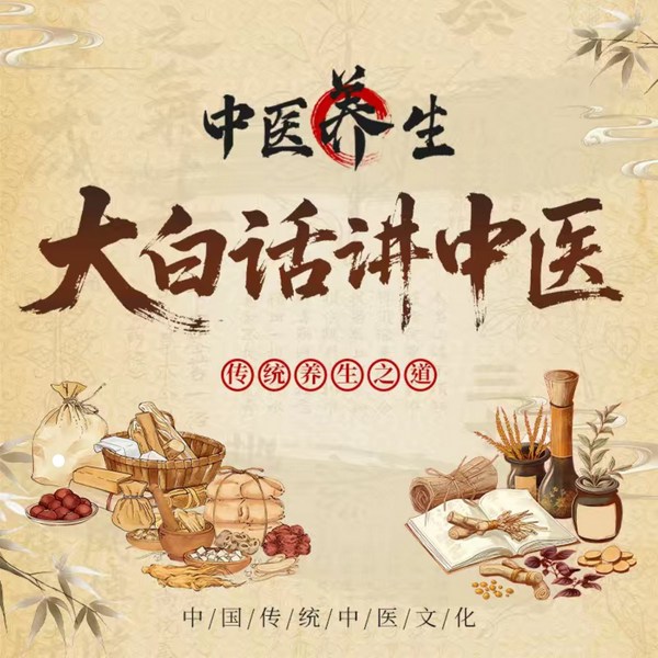 大白话讲中医