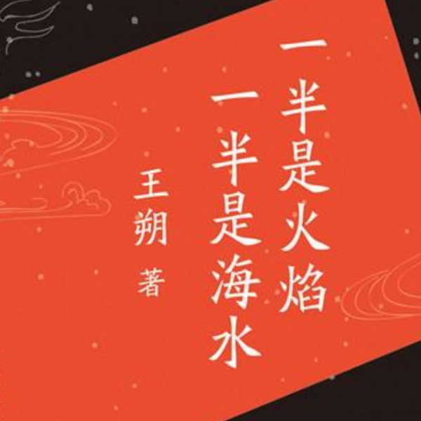 一半是火焰一半是海水|王朔作品