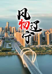風物遼寧-遼寧衛視-群星