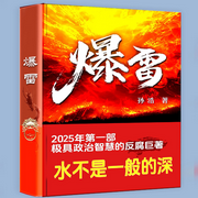 爆雷：反貪巨著|人情世故|權力明暗較量|二把手智慧-佚名-三碗文化