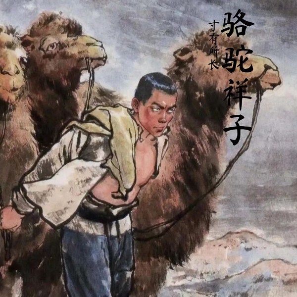 骆驼祥子