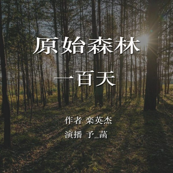 原始森林一百天|有趣的回忆