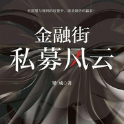 金融街：私募风云-佚名-骆驼