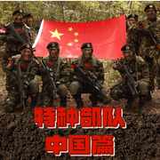 特种部队之中国篇-佚名-锦鲤李_次元口袋