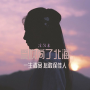 不完整的爱流向大海-佚名-沈仕林