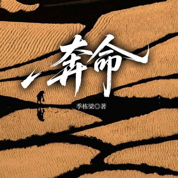 奔命|余华活着、白鹿原、大宅门西北乡土|男女浮沉