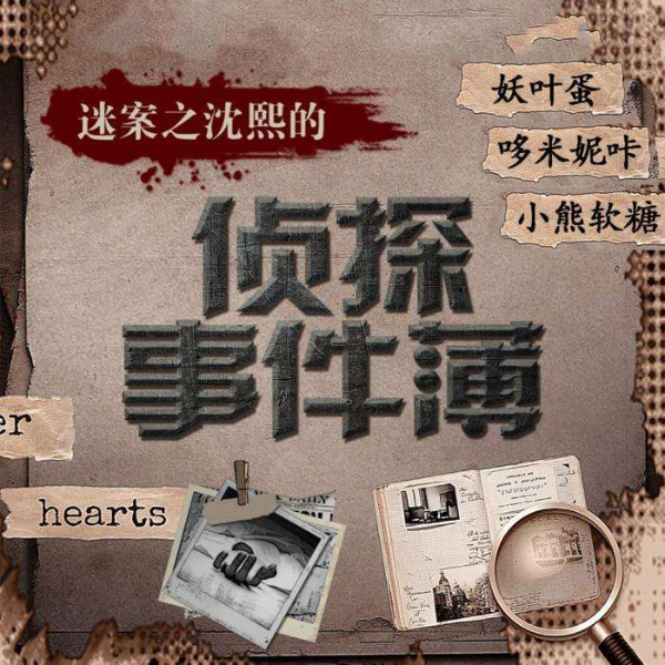 沈熙的侦探事件簿|都市迷案|精品推理