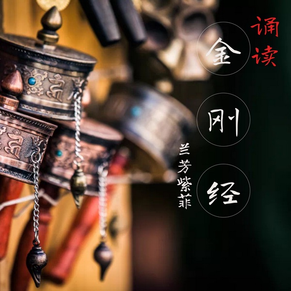 《金刚经》诵读|佛学经典|生命智慧