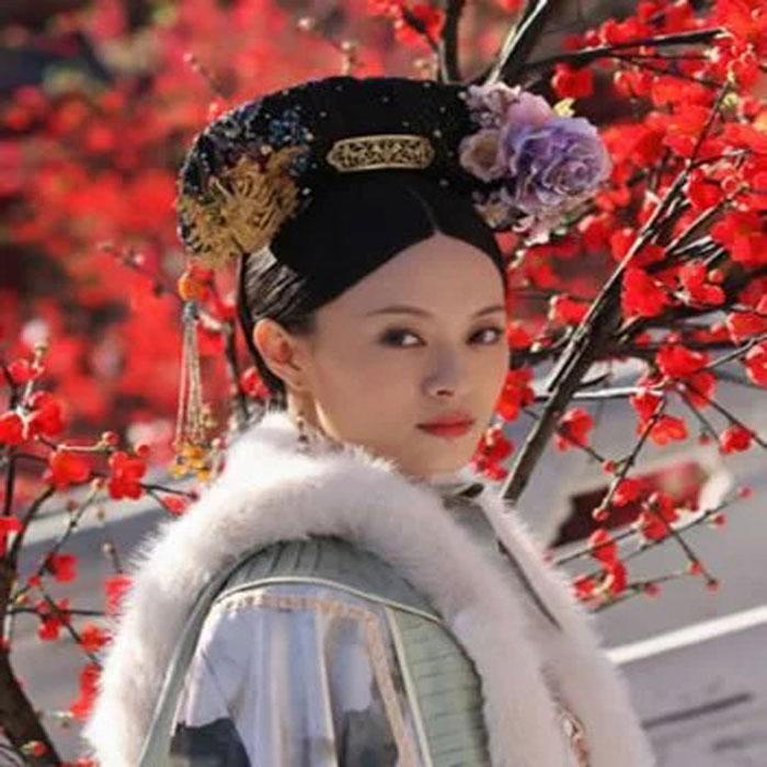 解读甄嬛传--江湖妞妞-佚名