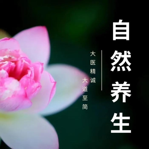 自然养生